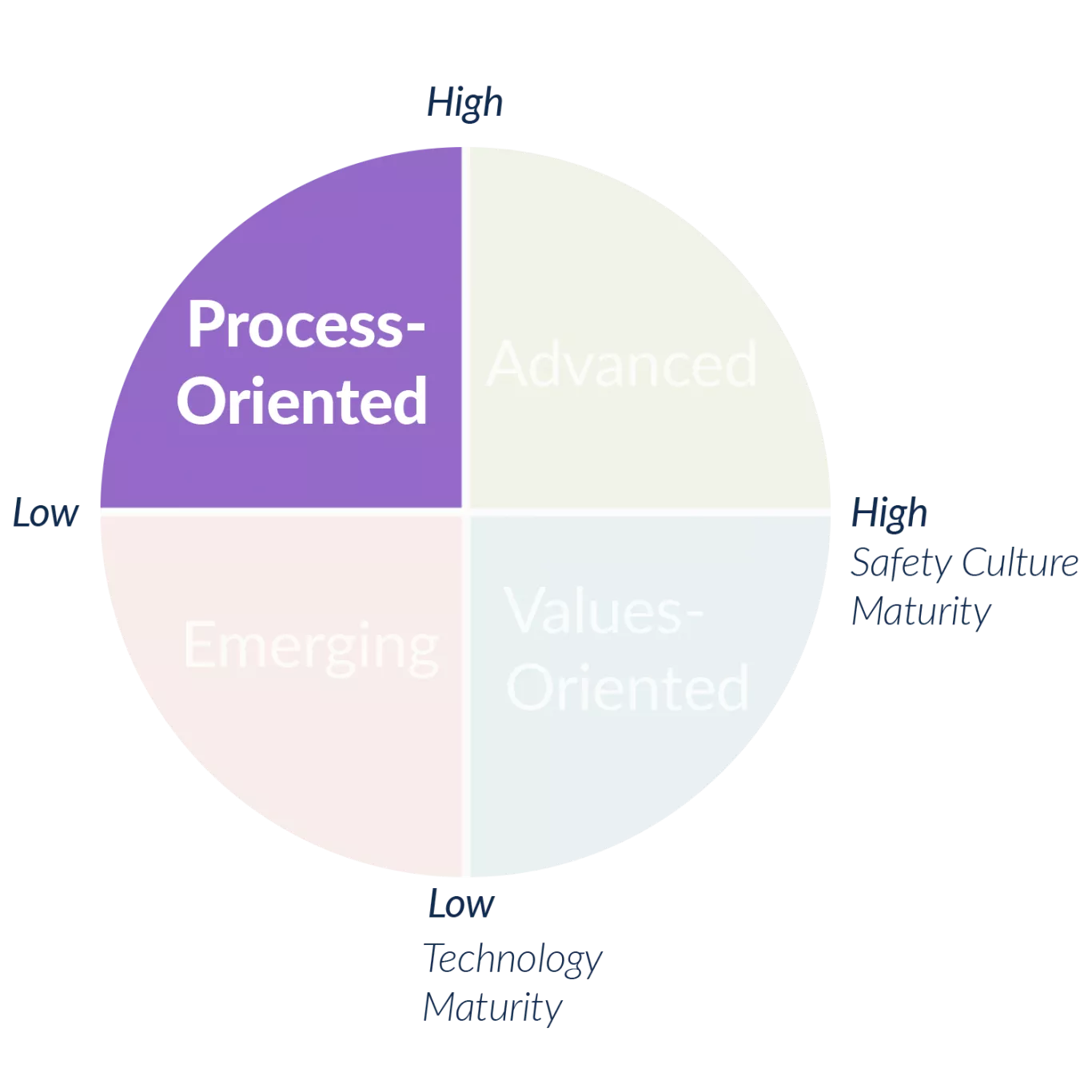 Process Oriented Segment