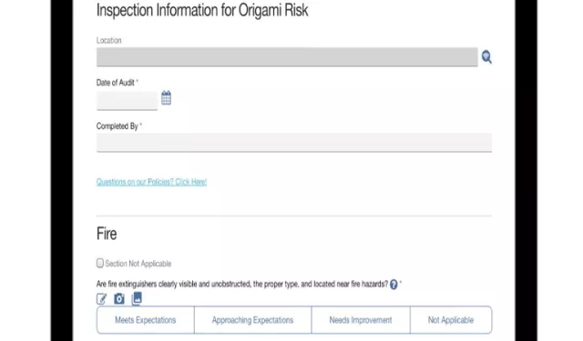 Audit Entry_Mobile App Form