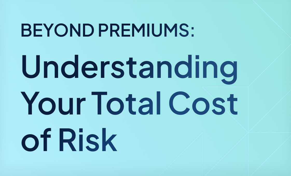 Understanding your total cost of risk